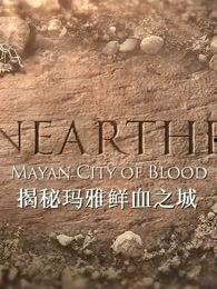 揭秘：玛雅鲜血之城,揭开古文明神秘面纱的惊世之旅