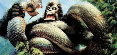 金刚大战巨蟒,一场惊心动魄的丛林对决